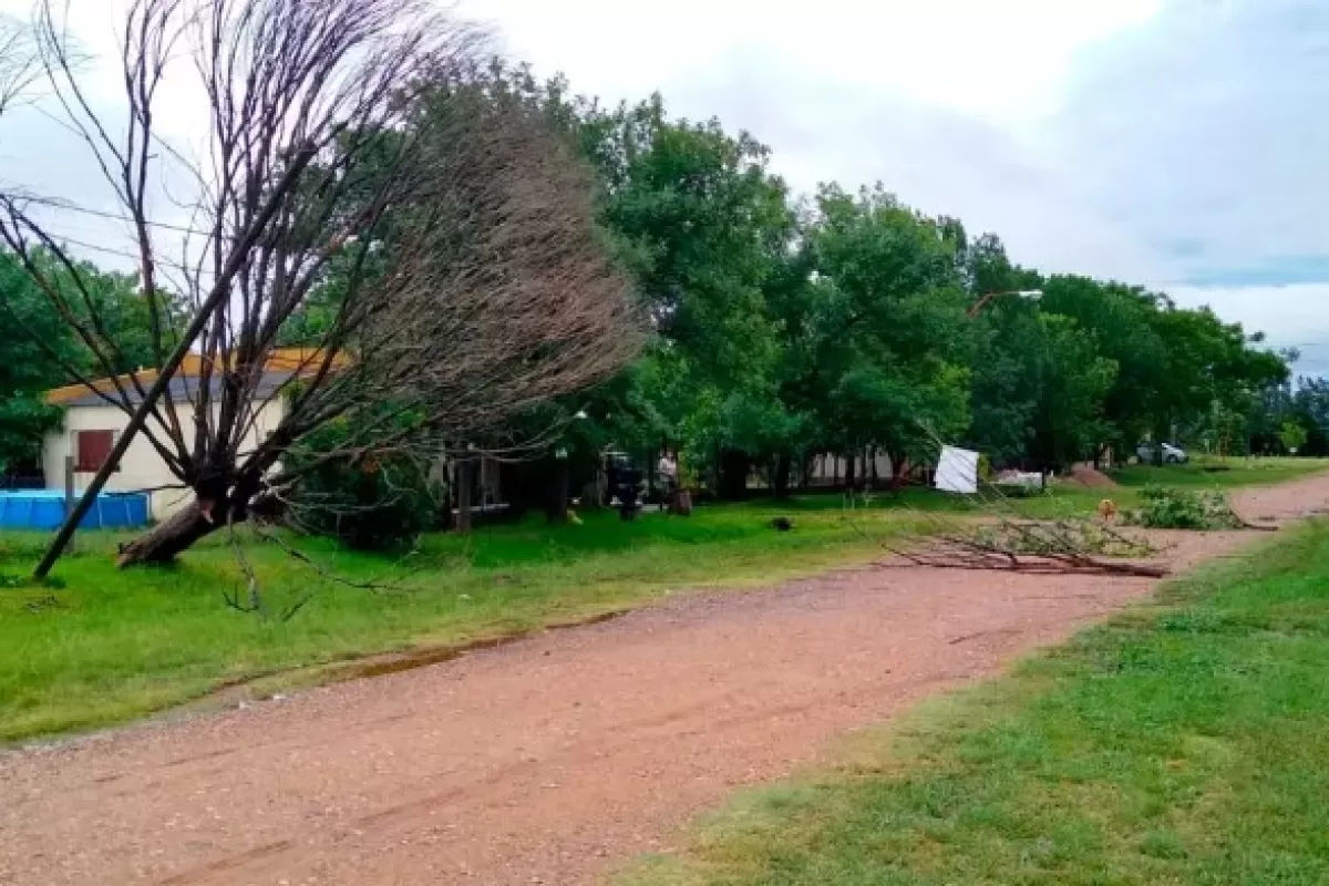 Oro Verde: fuerte temporal tiró árboles, cables y dejó sin servicios a una escuela