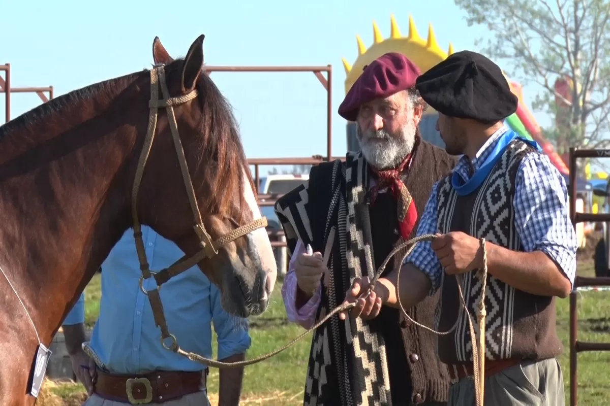 El bienestar de los equinos es política de Estado en Entre Ríos