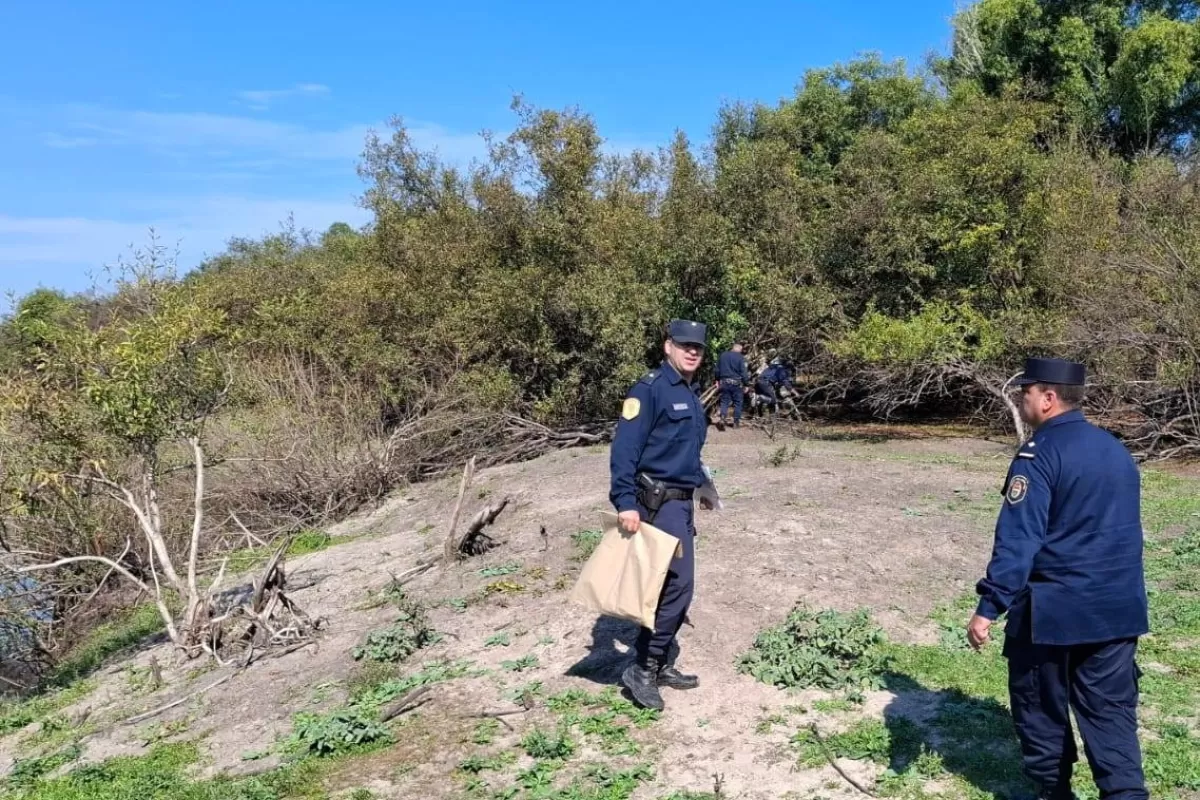 Hallaron restos óseos a orillas de un arroyo en el Parque Nacional El Palmar