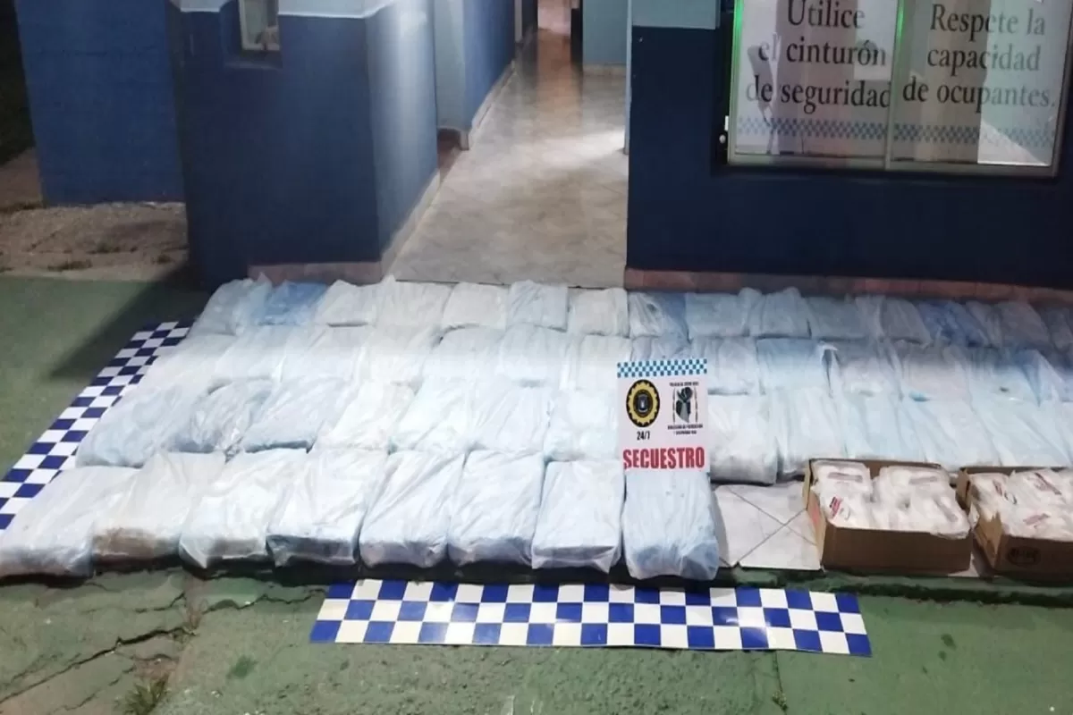 Decomisaron 530 kilos de filete de pescado y docenas de empanadas que no contaban con equipo de frío