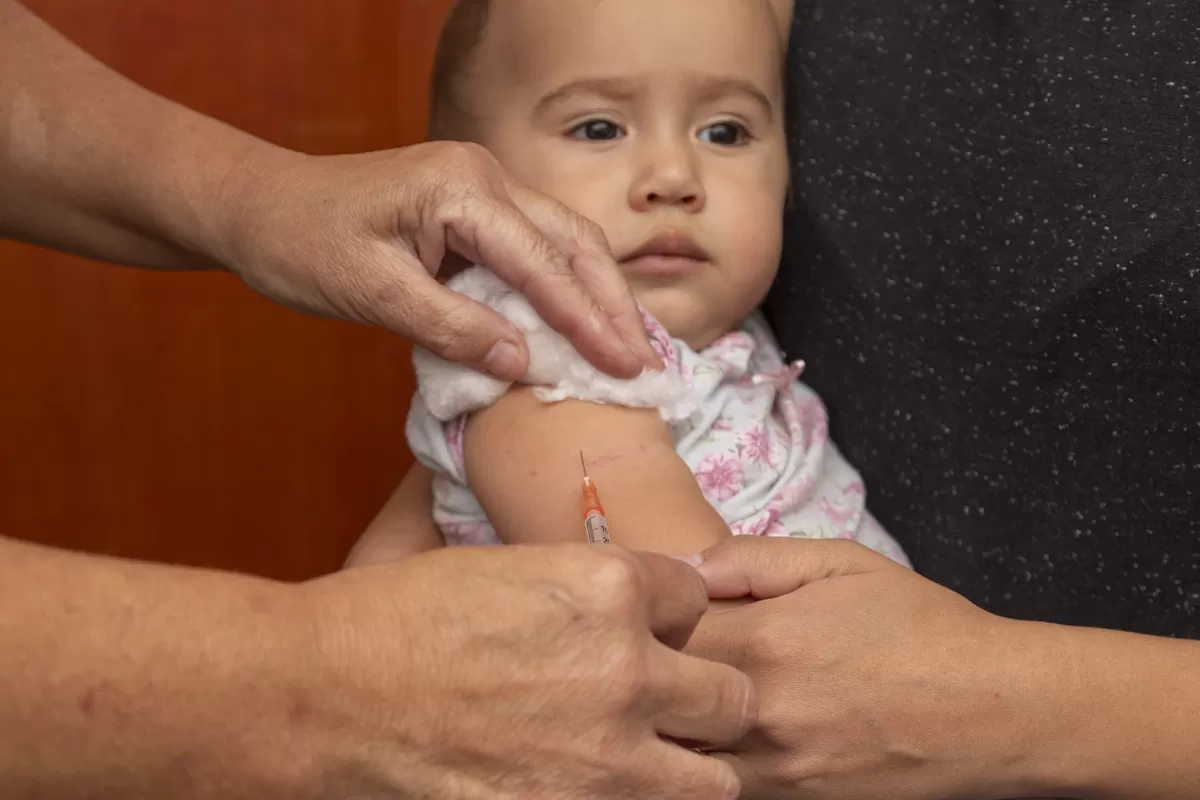 La Provincia recibió 16.000 dosis para reforzar la vacunación contra el sarampión