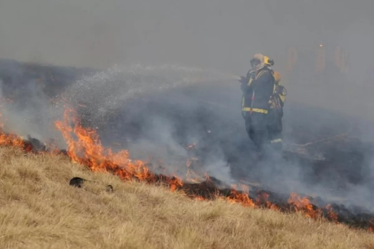 Quema en las islas: Santa Fe y Entre Ríos buscan acordar un plan común para el control de fuego