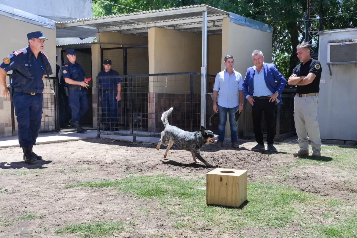 Inauguraron nuevos caniles en la Divisi&oacute;n de Bomberos Zapadores
