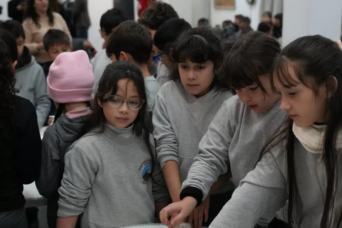 Con gran convocatoria, los museos provinciales celebraron su d&iacute;a
