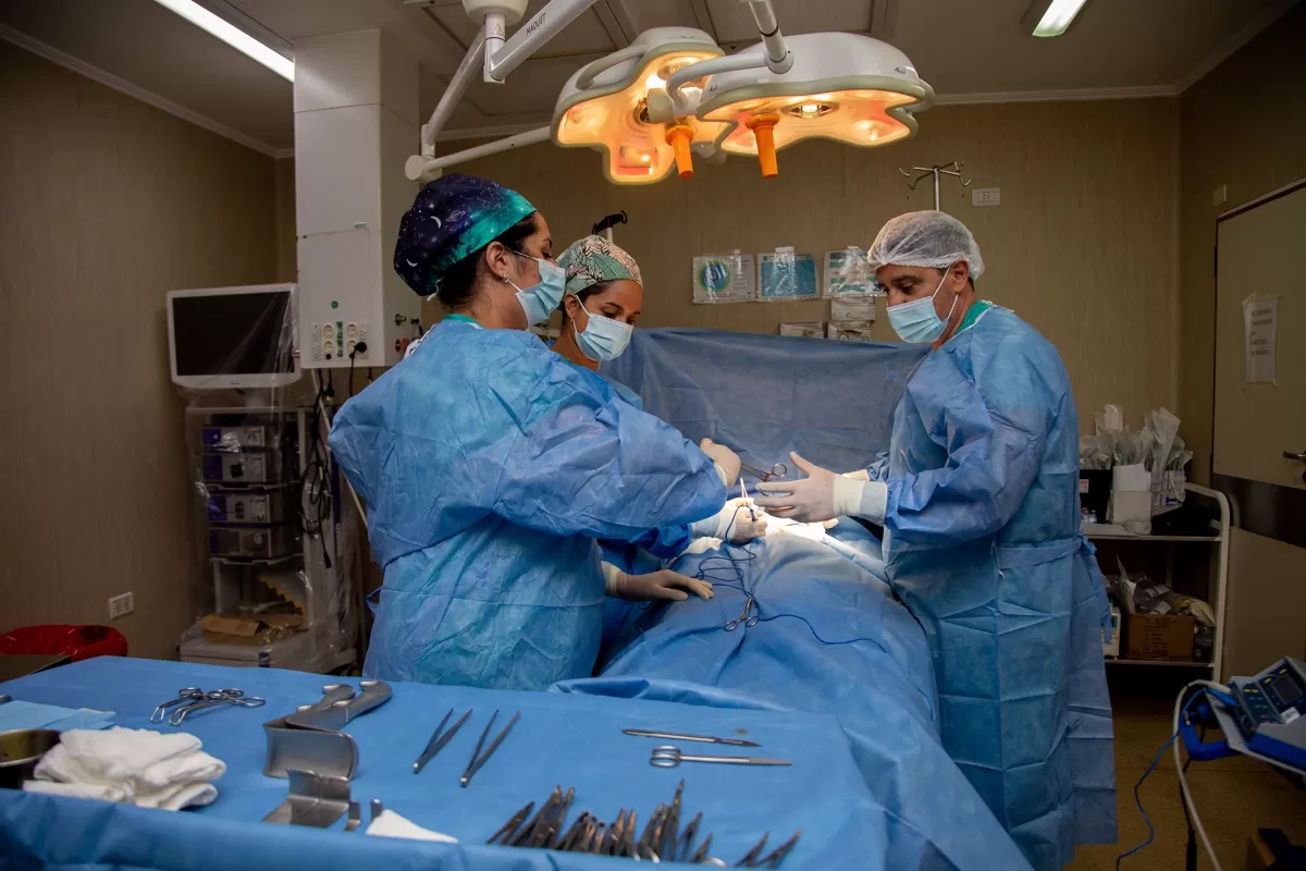 Entre R&iacute;os supera la media nacional en donaci&oacute;n de &oacute;rganos por cantidad de habitantes