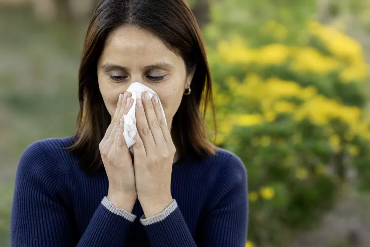 Salud recuerda c&oacute;mo prevenir y tratar las alergias de temporada