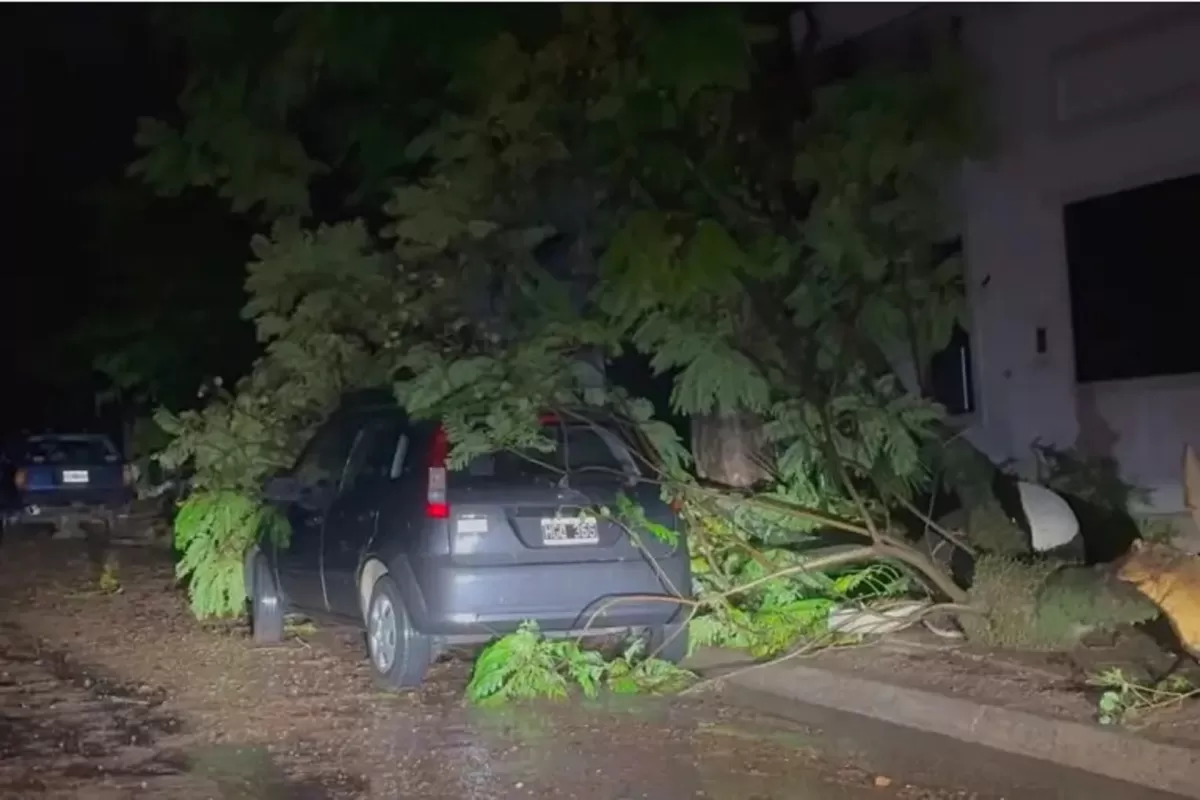 El Gobierno provincial trabaja de manera coordinada para asistir a localidades afectadas por el temporal