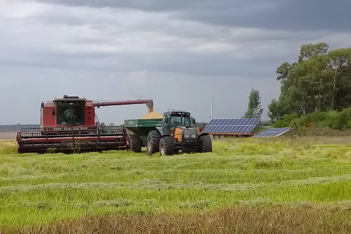 Entre R&iacute;os se ubic&oacute; entre las provincias con mejor desempe&ntilde;o del pa&iacute;s en el consumo de combustibles