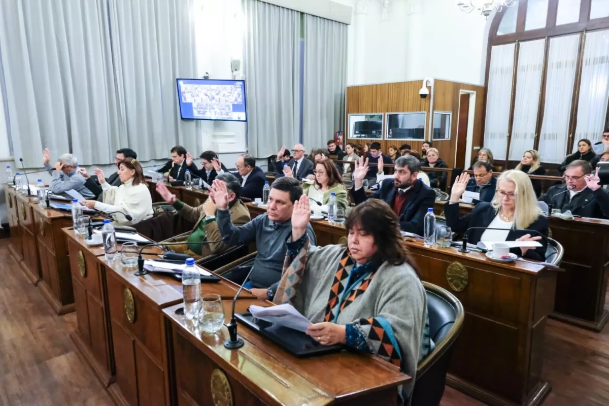 Mientras jugaba la Selecci&oacute;n, el Senado dio media sanci&oacute;n a la reforma previsional y desat&oacute; fuertes cr&iacute;ticas