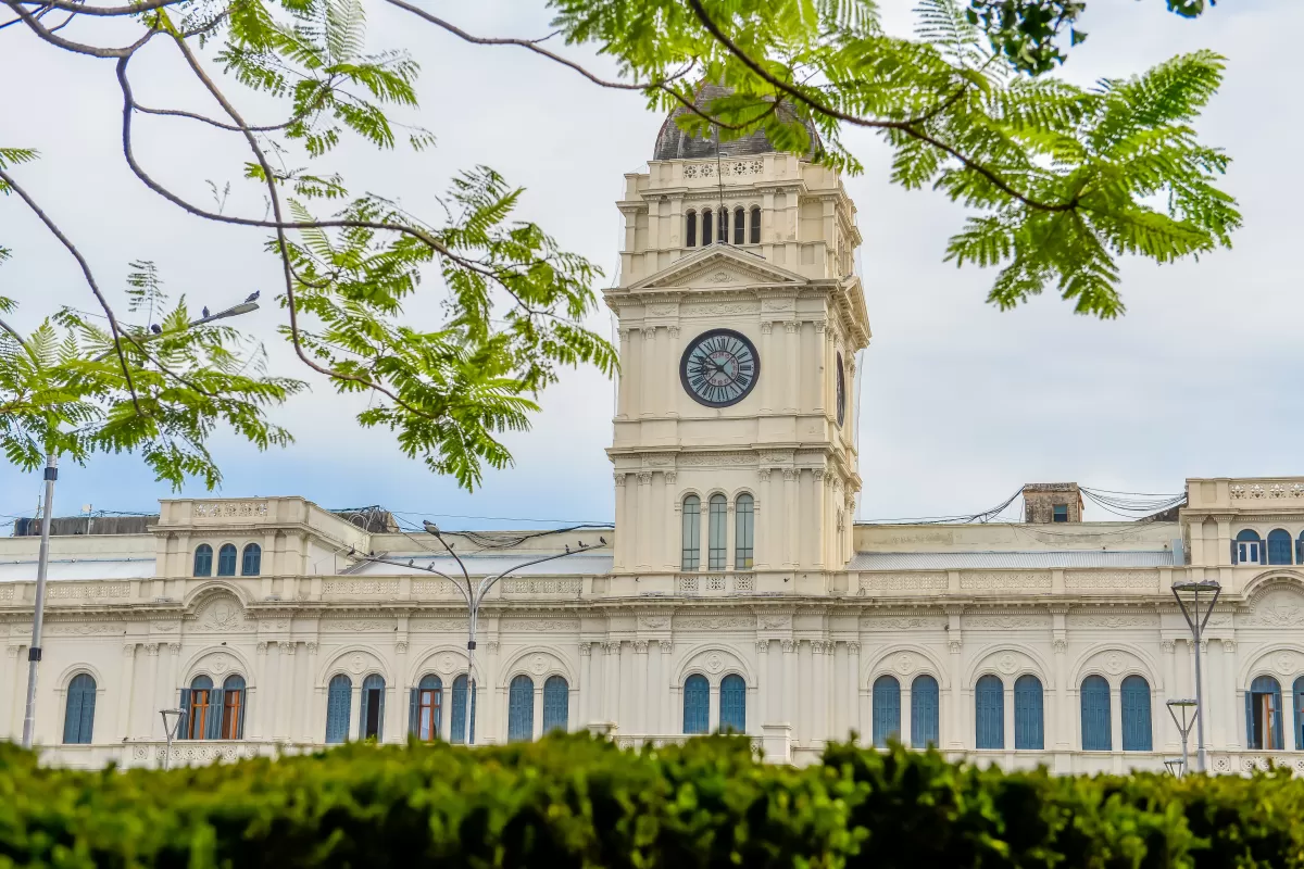 Entre Ríos habilita la temporada de caza menor 2025 con menos especies, mayores restricciones y sustento científico