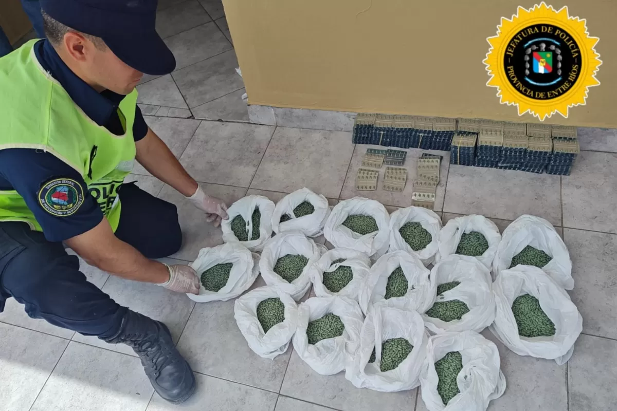 Secuestraron m&aacute;s de 38.000 pastillas de psicof&aacute;rmacos en un operativo