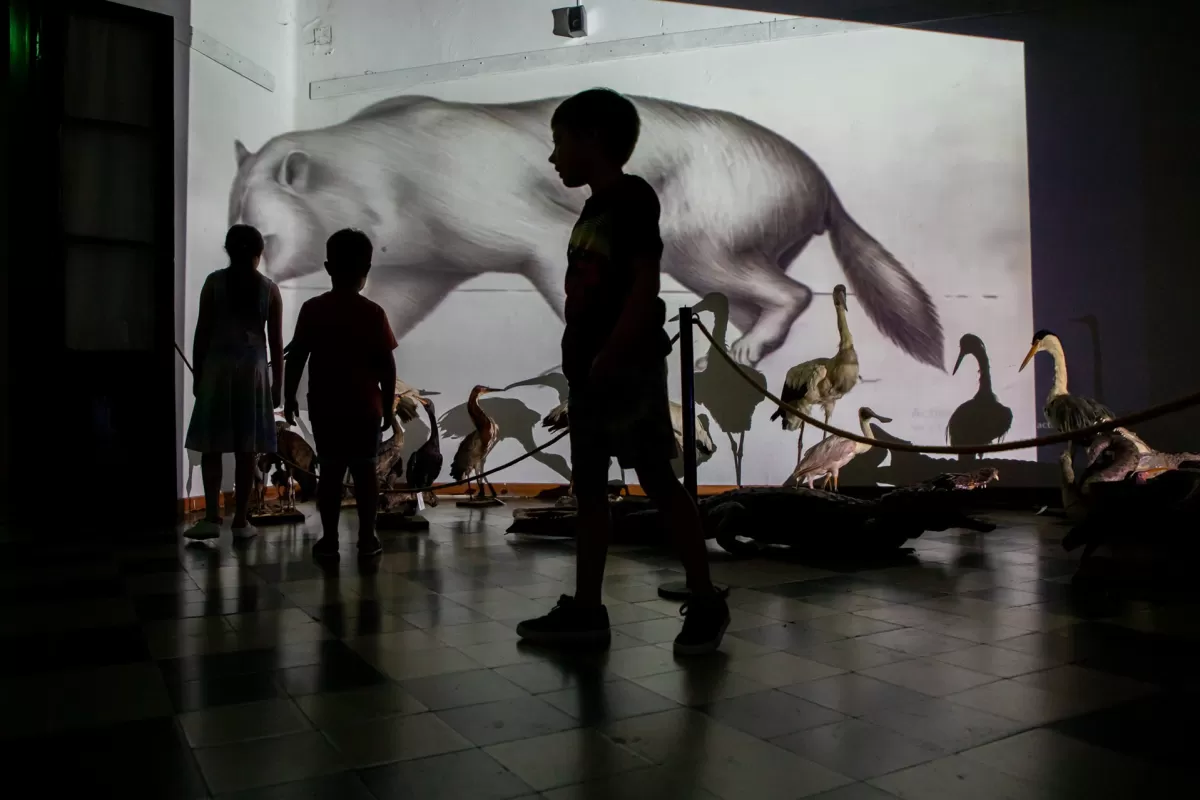 El Museo Serrano invita a conocer su Reserva T&eacute;cnica