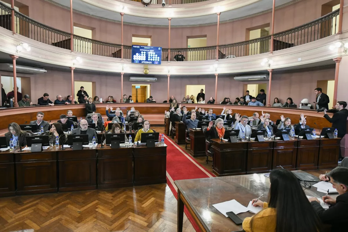 Diputados dio media sanci&oacute;n al proyecto de ley de alivio impositivo para el comercio entrerriano
