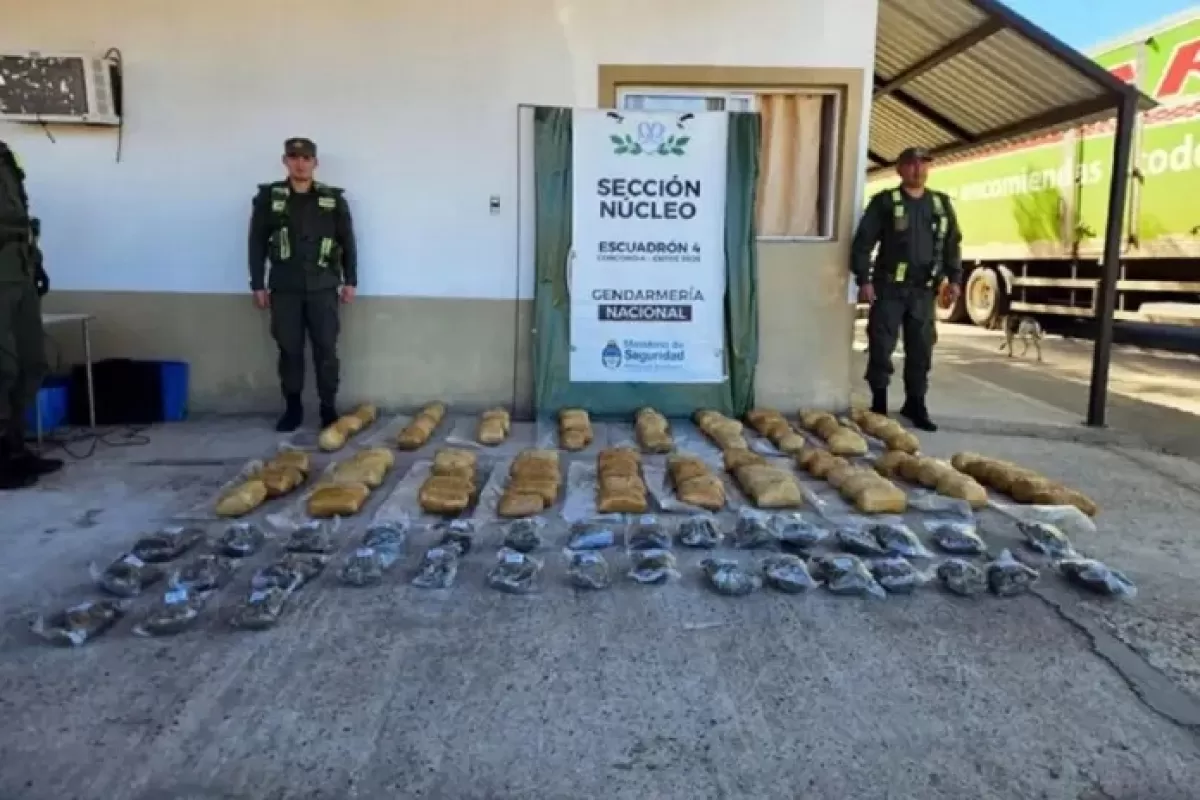 Gendarmería Nacional y la Justicia Federal de Concordia decomisaron casi 50 kilos de marihuana