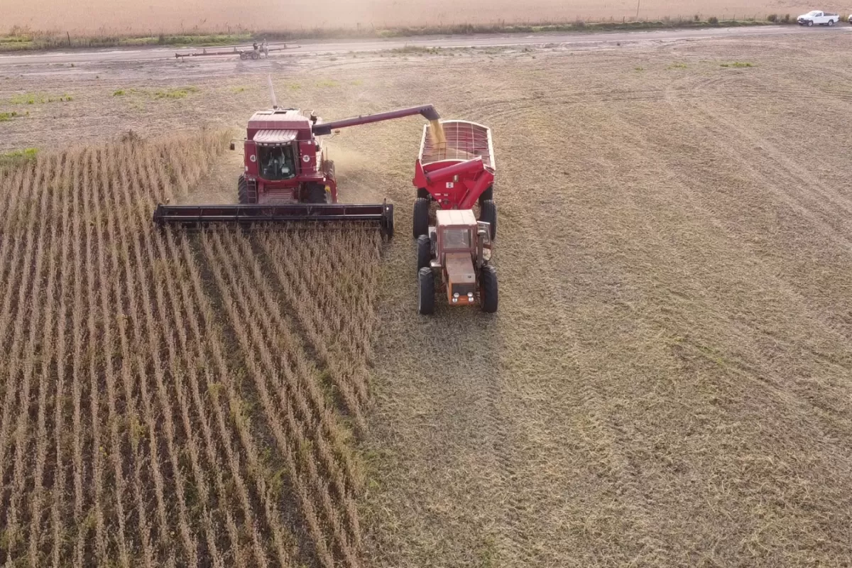 Estad&iacute;sticas revelan que la provincia logr&oacute; el mejor rendimiento agr&iacute;cola de los &uacute;ltimos 25 a&ntilde;os