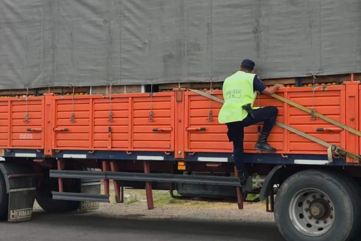 Interceptan camión que evadió una barrera fitosanitaria en Concordia