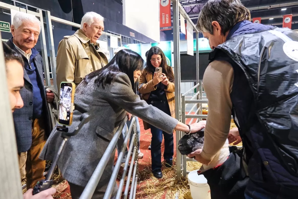 La Provincia distingui&oacute; a productores por el desarrollo y mejora gen&eacute;tica de sus animales