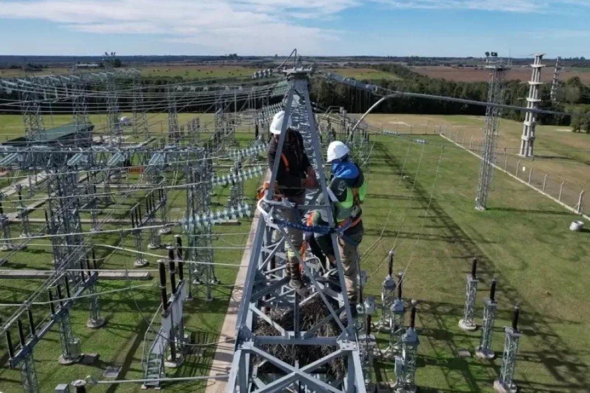 Enersa monitorea la demanda el&eacute;ctrica ante la ola de calor
