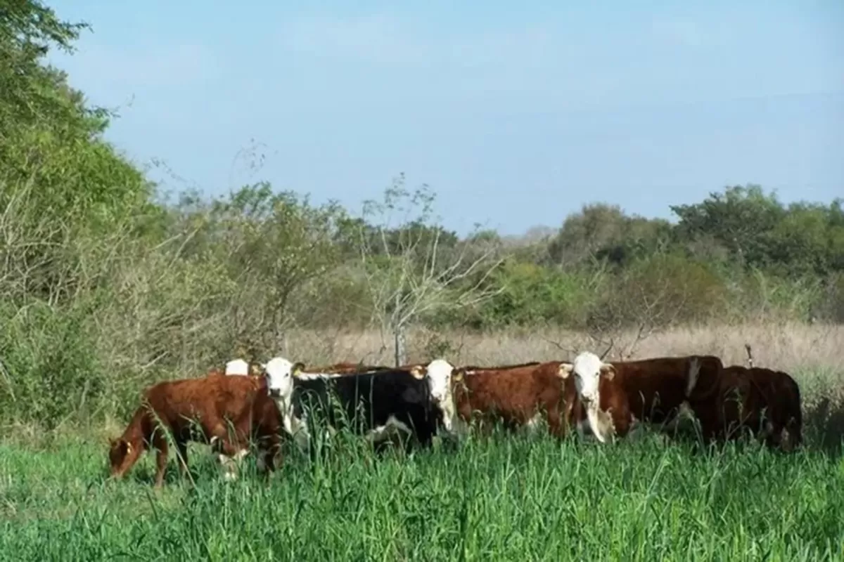 El Gobierno de Entre R&iacute;os recuper&oacute; 124.000 hect&aacute;reas de tierras fiscales y gener&oacute; nuevos ingresos para la provincia