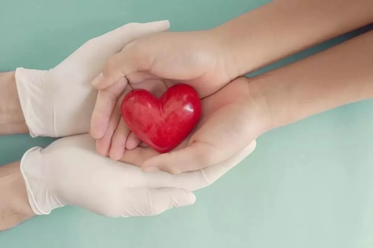 Este viernes se conmemora el Día Nacional de la Donación de Órganos