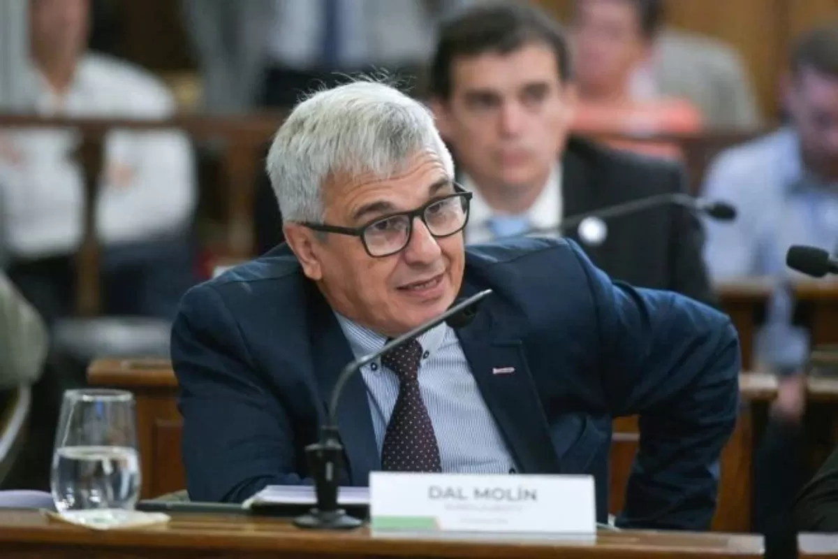Dal Molin cruzó al peronismo local por "fundir la provincia"
