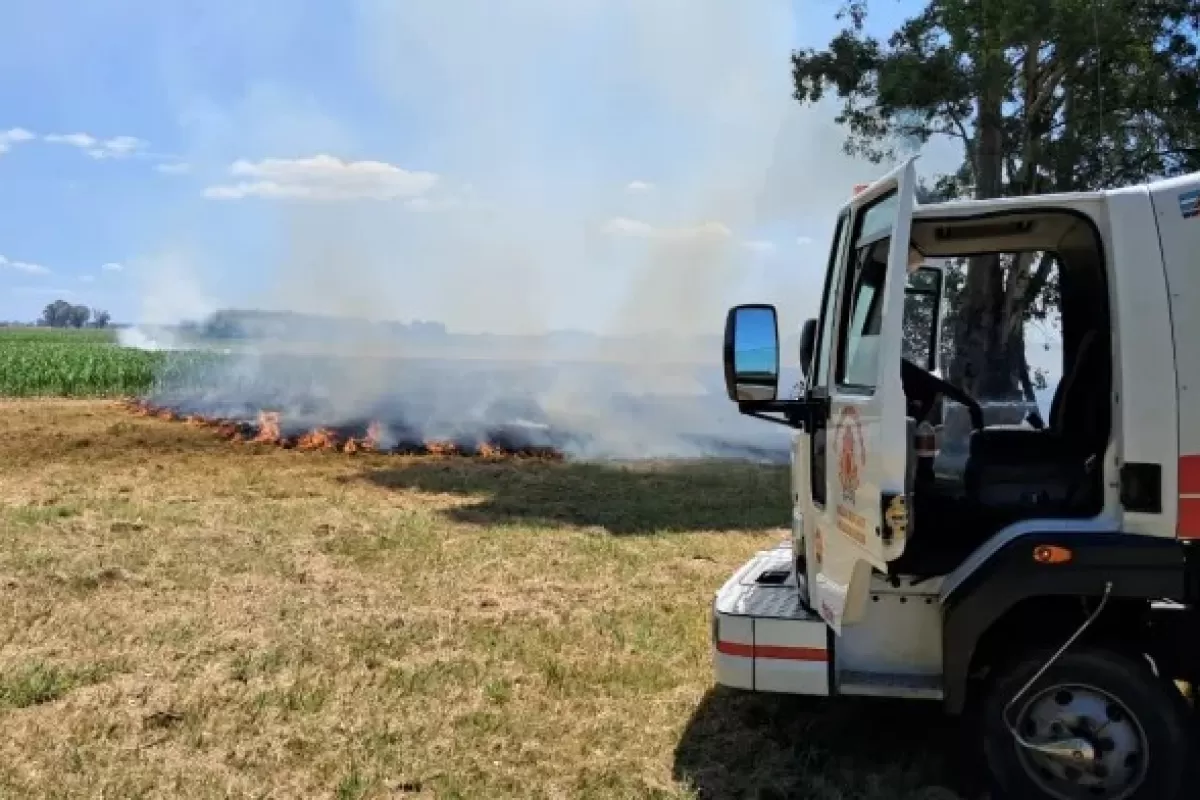 Gualeguay: Bomberos Voluntarios trabajaron en la zona del Aeroclub y el Segundo Distrito