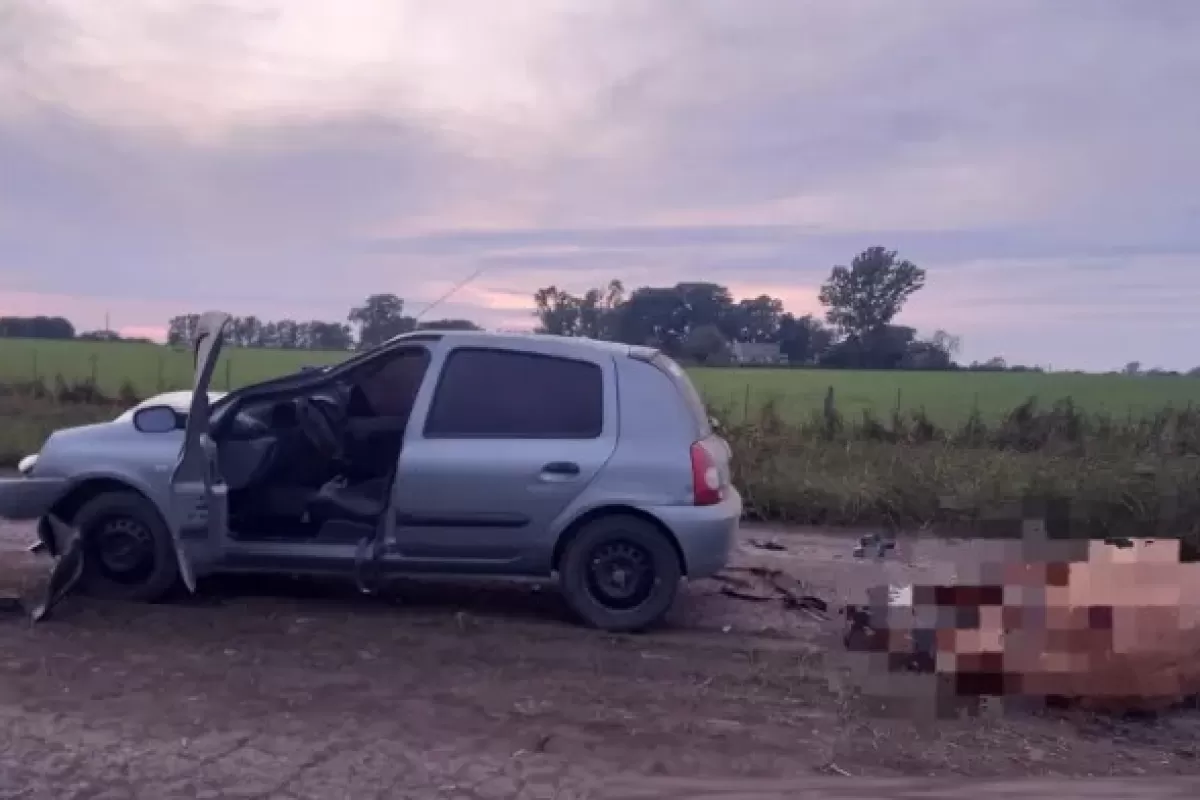 General Ramírez: equino fue embestido por un automovilista en un camino rural