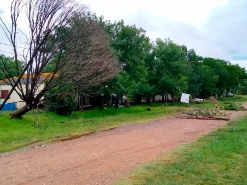 Oro Verde: fuerte temporal tiró árboles, cables y dejó sin servicios a una escuela