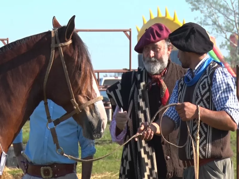 El bienestar de los equinos es política de Estado en Entre Ríos