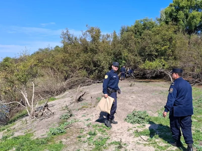 Hallaron restos óseos a orillas de un arroyo en el Parque Nacional El Palmar