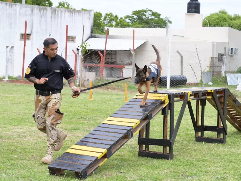 Inauguraron una pista de adiestramiento canino para búsqueda de estupefacientes y control penitenciario