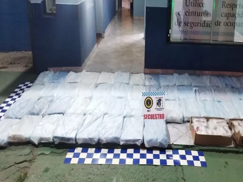 Decomisaron 530 kilos de filete de pescado y docenas de empanadas que no contaban con equipo de frío