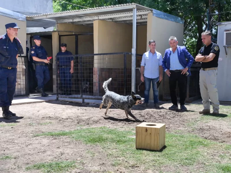 Inauguraron nuevos caniles en la Divisi&oacute;n de Bomberos Zapadores