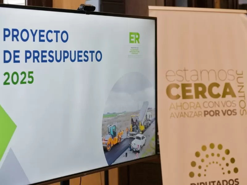 Comenzó el debate en el Senado sobre el Presupuesto 2025 y la Reforma Política