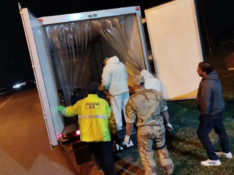 Decomisaron mil kilos de dorado transportados de manera ilegal en Paso Cerrito