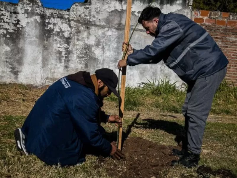 Se plantaron más de 200 árboles por el aniversario de Paraná