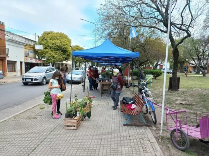 Productores de verduras venden a 400 pesos el atado de lechuga en las ferias de Gualeguaychú