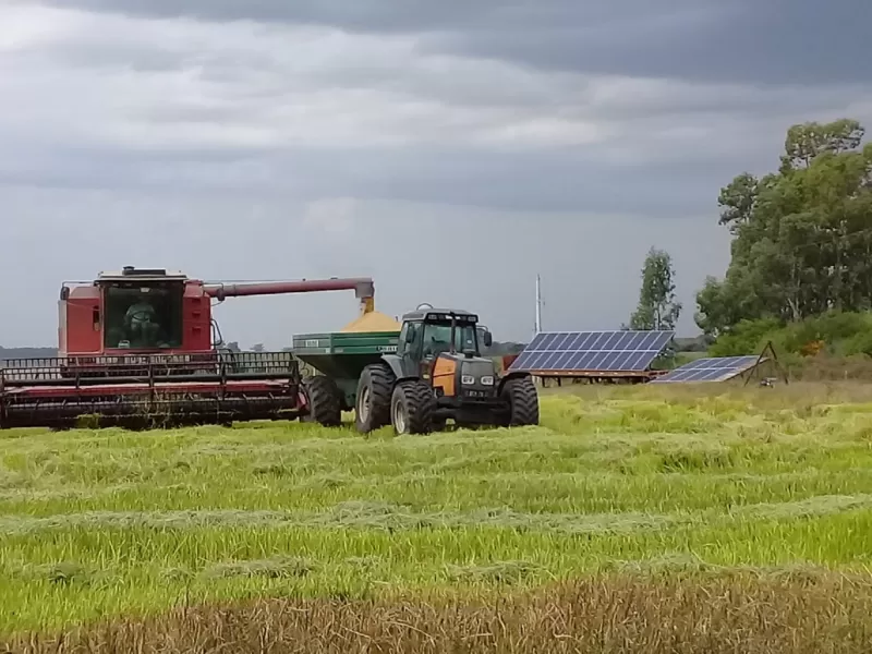 Entre R&iacute;os se ubic&oacute; entre las provincias con mejor desempe&ntilde;o del pa&iacute;s en el consumo de combustibles