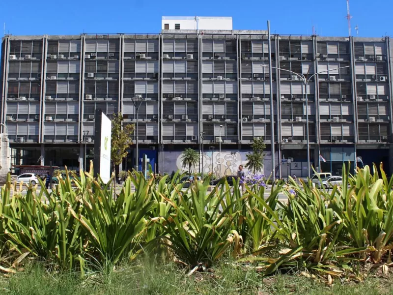 El alto nivel de presentismo docente garantiz&oacute; el normal dictado de clases