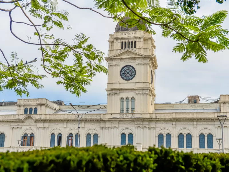 Entre Ríos habilita la temporada de caza menor 2025 con menos especies, mayores restricciones y sustento científico