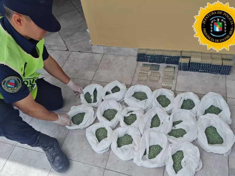 Secuestraron m&aacute;s de 38.000 pastillas de psicof&aacute;rmacos en un operativo
