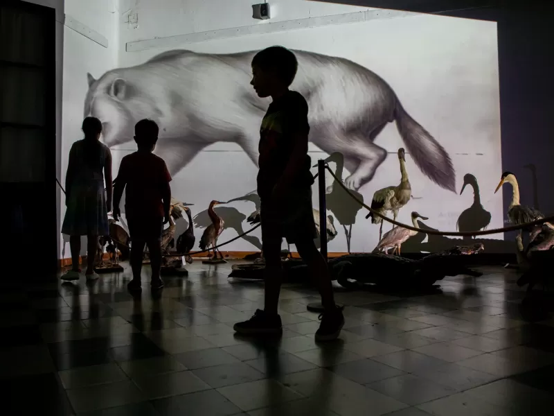 El Museo Serrano invita a conocer su Reserva T&eacute;cnica