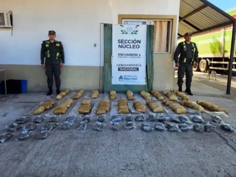 Gendarmería Nacional y la Justicia Federal de Concordia decomisaron casi 50 kilos de marihuana