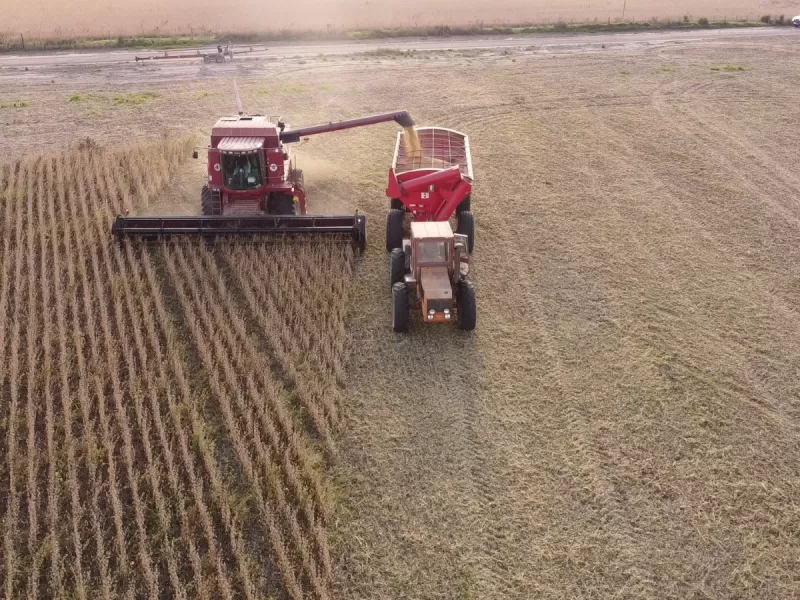 Estad&iacute;sticas revelan que la provincia logr&oacute; el mejor rendimiento agr&iacute;cola de los &uacute;ltimos 25 a&ntilde;os