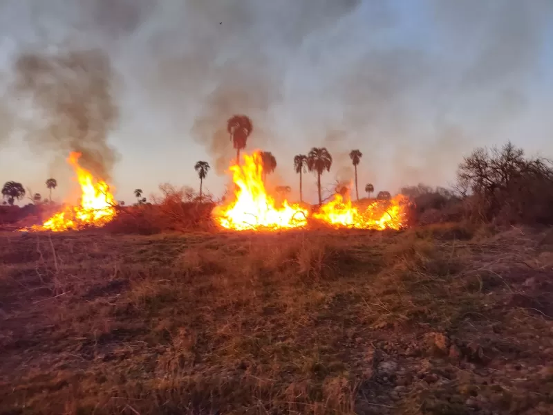 Un campo que iba a ser destinado para un parque nacional sufre quemas y desmontes