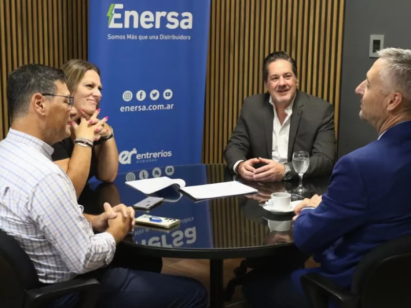 El presidente de Enersa se reunió con Gustavo Hein
