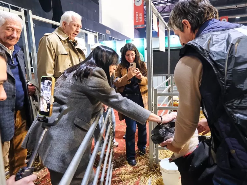 La Provincia distingui&oacute; a productores por el desarrollo y mejora gen&eacute;tica de sus animales