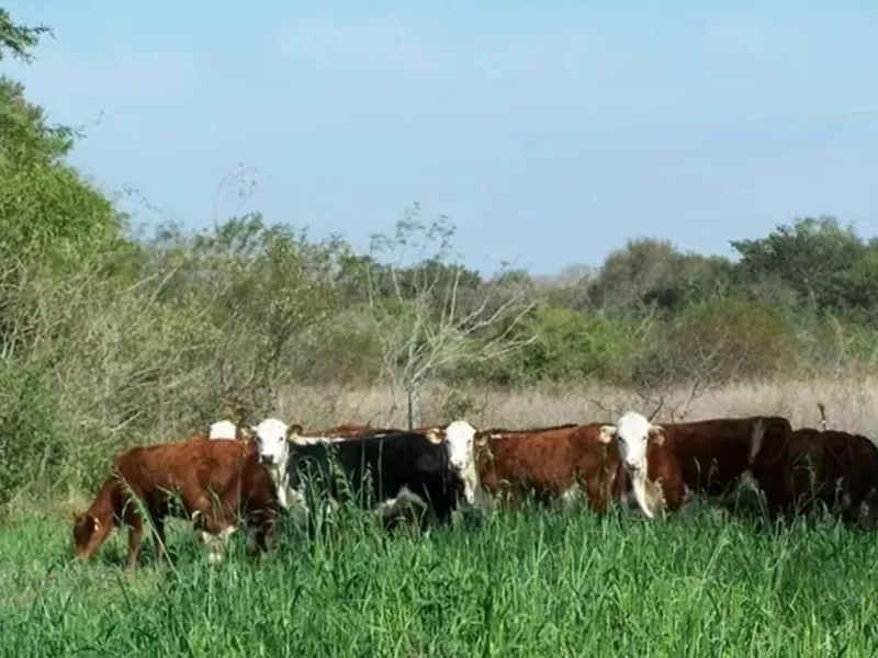 El Gobierno de Entre R&iacute;os recuper&oacute; 124.000 hect&aacute;reas de tierras fiscales y gener&oacute; nuevos ingresos para la provincia