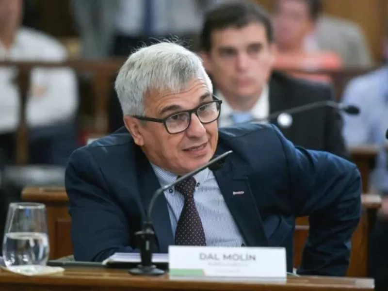 Dal Molin cruzó al peronismo local por "fundir la provincia"