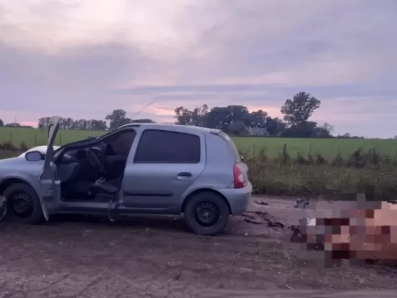 General Ramírez: equino fue embestido por un automovilista en un camino rural